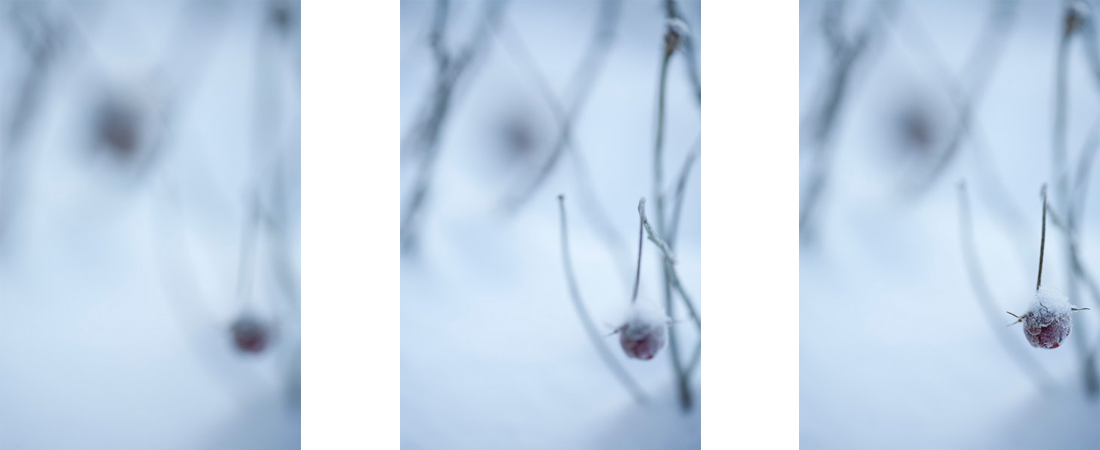 photos-a2