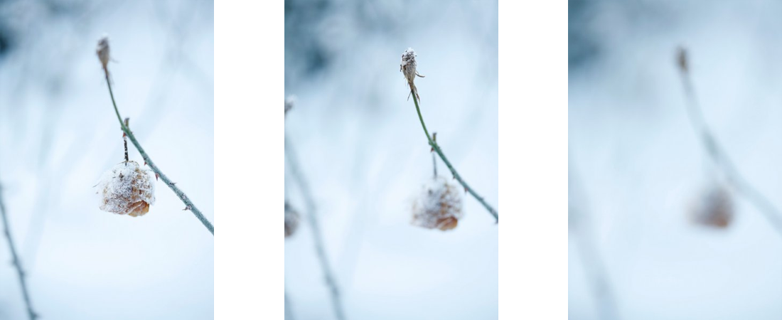 photos-a3